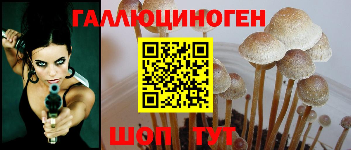 МЕФ Михайловск
