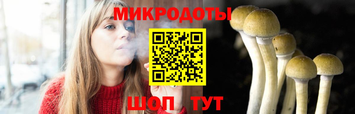 Псилоцибиновые грибы Magic Shrooms  Вход с VPN  где можно купить   Михайловск 